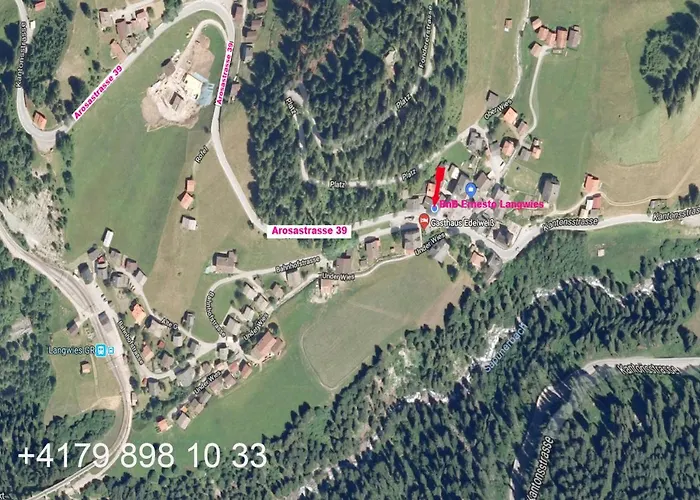 Ernesto - Not Davos 3*